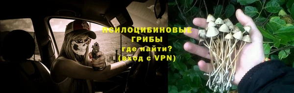 первитин Алексин