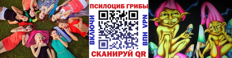 как найти закладки  Райчихинск  Псилоцибиновые грибы GOLDEN TEACHER 